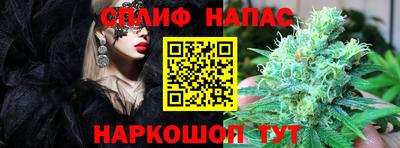СК Малоярославец