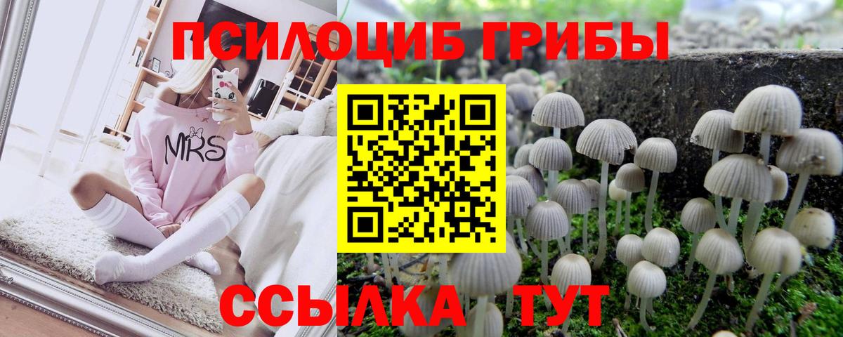 Псилоцибиновые грибы мицелий  Вход с VPN  Будённовск  Галлюциногенные грибы GOLDEN TEACHER 