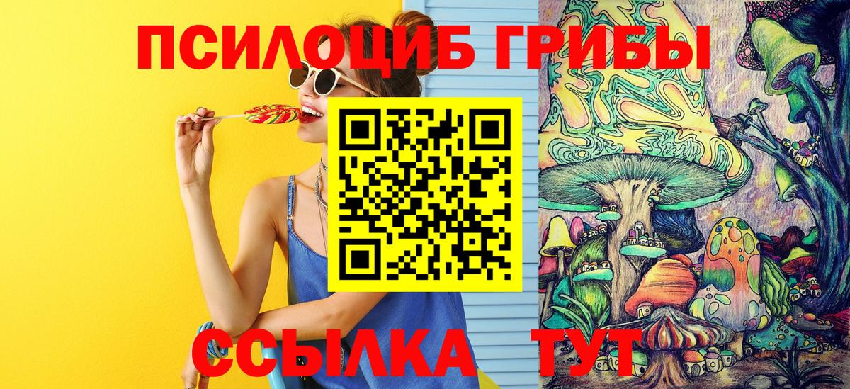 Галлюциногенные грибы Cubensis Будённовск